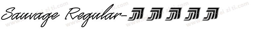 Sauvage Regular字体转换